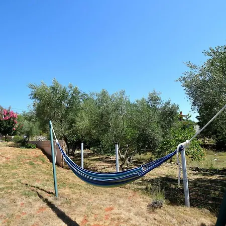 Hébergement de vacances Frana Mit Privatem Pool By Interhome Bajcici